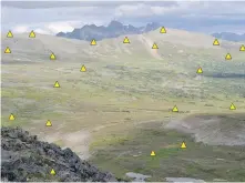  ??  ?? In 2016, a group of Royal B.C. Museum scientists collected plant specimens in Sustut Provincial Park in the Stikine region. The specific locations are identified by yellow triangles on the map.