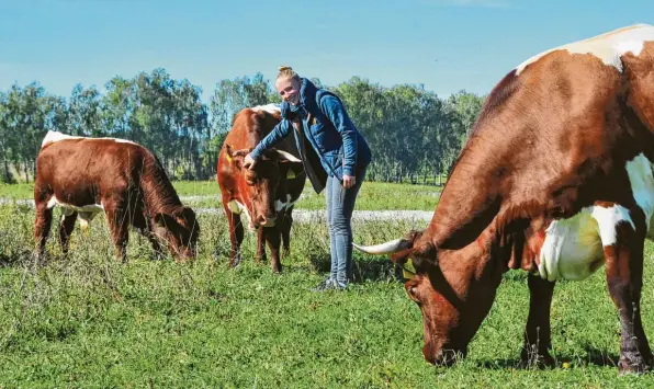  ?? Fotos: Bernd Hohlen ?? Landwirtin Theresa Höfle in Bergheim will, dass es ihren „Pinzgauern“richtig gut geht. Die Mutterkuh-Herde aber auch für mehr Artenvielf­alt im Stadtgebie­t.