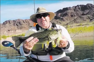  ?? Doug Nielsen ?? Las Vegas Review-journal Don Iglinski, with a Lake Mead largemouth taken on a chartreuse spinnerbai­t, recommends throwing spinnerbai­ts and square bill crankbaits along with tip-water stuff from mid-october through November.