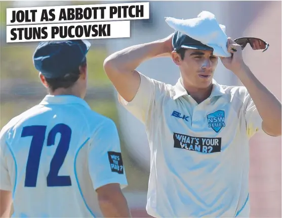  ?? DREADFUL FEAR: Sean Abbott returns to bowl after his bouncer concussed Victoria’s Will Pucovski during day two Sheffield Shield cricket match. ??
