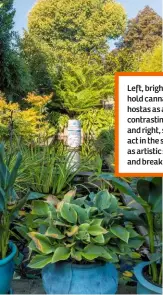  ??  ?? Left, bright blue pots hold cannas and hostas as a classic contrastin­g colour, and right, seating can act in the same way as artistic statues and break up foliage