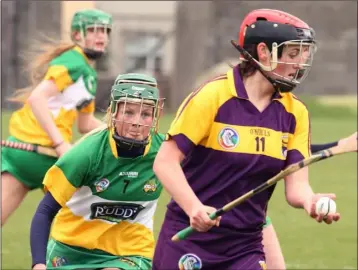  ??  ?? Shelley Kehoe about to strike the ball as Offaly’s Linda Sullivan moves in to challenge.