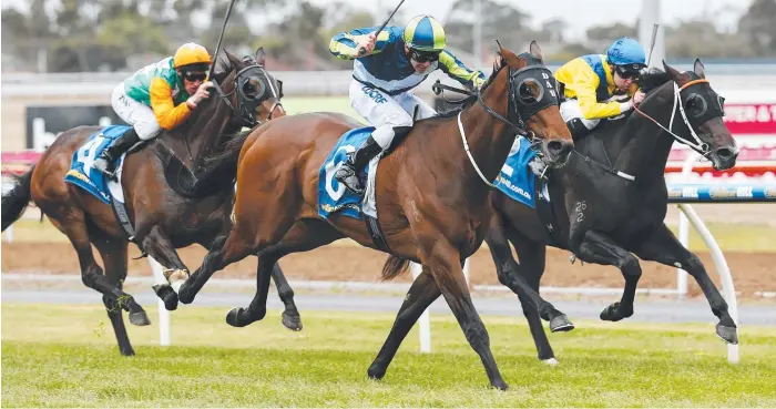  ?? Picture: COLLEEN PETCH ?? SOLID STAYER: The John Hawkes-trained Jadeer (right) fights back to run second to Extra Choice (No.6) in the Geelong Derby Trial.