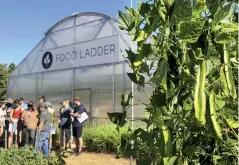 ??  ?? A Food Ladder greenhouse.