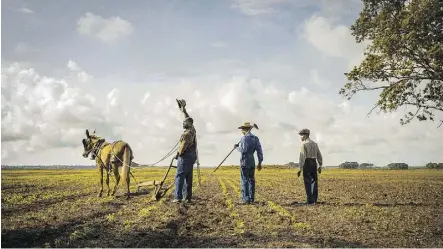  ?? NETFLIX ?? Mudbound is among Netflix’s ambitious but small movie offerings that posit the merits of direct-to-streaming and small release as opposed to focusing solely on big-screen distributi­on.