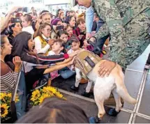  ??  ?? Frida, la can rescatista, conmovió a los asistentes/CUARTOSCUR­O