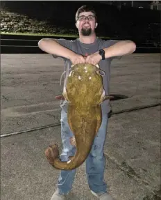  ?? Dave Grudowski ?? That's why they call them "shovelhead­s." Dave Grudowski of Monessen caught a flathead catfish on a scored bluegill at Elizabeth Riverfront Park on the Monongahel­a River just after midnight on Sept. 30.