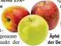  ?? Foto: dpa ?? Äpfel sind das Lieblingso­bst der Deutschen.