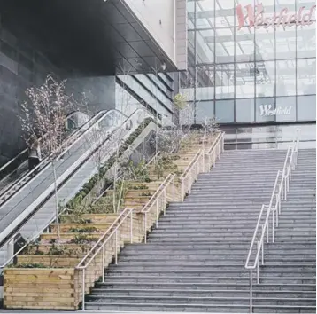  ??  ?? Woodblocx’s products feature in a plant display at the entrance to London’s Westfield centre