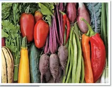  ??  ?? From left: Chard ’Rhubarb’ and ‘canary’, squash ‘Delicata’, parsley ‘Italian giant’, tomato ‘San Marzano’, courgette ‘Goldy’, cucumber ‘Akito’, beetroot boro, onion ’Long Red Florence’, runner bean ‘Helda’, sweet pepper ‘Long Red Marconi’, kale ‘Dazzling Blue’, spring onion ‘Ishikura’ grown at Brown Rock Market Garden
Picture: copyright Rhiannon Marshall @brown.rock.market.garden