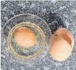  ??  ?? Im Riesenei befand sich ein weiteres Ei in kleinerem Format.