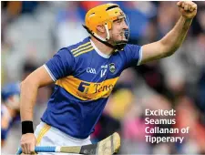  ??  ?? Excited: Seamus Callanan of Tipperary