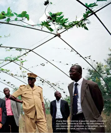  ??  ?? Zhang Benjun (premier à gauche), expert chinois en agricultur­e, présente le rôle du filet anti-oiseaux à des responsabl­es sénégalais, à Sangalkam, dans la périphérie de Dakar, capitale du Sénégal.