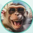  ?? ?? وجد الفEFق أيضًا أن
المضايقة اللعوبة حدثت
بشكل رئيسي عندما كانت
القردة مسترخية، وكان
سلوكها يتشابه مع السلوك
البشري.