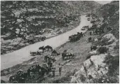  ??  ?? ABOVE: Both men and horses rest on the road to Jerusalem and Latron, 1918