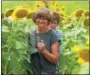  ??  ?? Sisters Marty Dierick and Pat Martin of Lancaster County explore the field of sunflowers next to the Please Wash Me Carwash in Elverson.