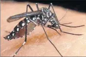  ??  ?? Piperazine, a drug used to treat worm infections, targets the capsid protein which is present in the chikunguny­a virus phoTo/hT