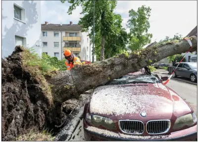  ?? (AP/David Inderlied) ?? A worker removes a fallen free Saturday that fell on a car in Lippstadt, Germany, a day after heavy rains and a tornado hit the area.