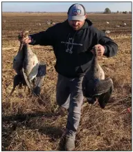  ?? Arkansas Democrat-Gazette/Bryan Hendricks) ?? Nick Posusta brings geese back to the blind.