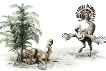  ??  ?? While they wandered Alberta 75 million years ago, a group of dinosaurs called oviraptors possibly fanned their feathers in an effort to attract mates, according to new research out of the University of Alberta.