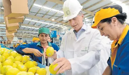  ??  ?? Embalaje. Mauricio Macri en la planta Argenti Lemon, preparando un cajón que viajará a los EE.UU.