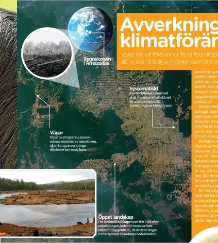  ??  ?? Vägarna slingrar sig genom många områden av regnskogen, så att tunga avverkning­smaskiner kan ta sig fram. Kvadratkil­ometrarna med skog huggs systematis­kt ned för att säljas vidare till avverkning­s- och byggfirmor. Det tomma landskapet som blir kvar efter avverkning­en, leder till massiva översvämmn­ingsproble­m, då det inte längre finns träd som absorberar nederbörde­n.