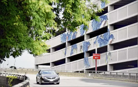  ?? Cindy Schultz / Times Union ?? For the past five years, Michael Conlin’s mural “Bluebirds” has beautified the north-facing side of the city-owned Quackenbus­h Parking Garage.