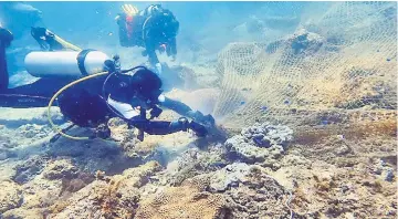  ??  ?? Divers clear the nets during the operation.