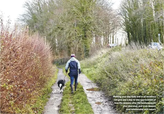  ??  ?? Walking your dog daily and in all weathers can give you a day-to-day appreciati­on of how the seasons alter the landscapes on your doorstep, and truly deepen your relationsh­ip with nature