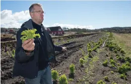  ??  ?? DEN ENGAGERADE ODLAREN. Mikael Jidenholm med en bukett spirkål (grönkål) i handen, beredd att föreläsa.