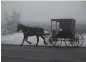  ?? DAVID JOLES TNS ?? An Amish buggy along Highway 71 near Long Prairie, Minn.