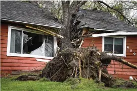  ?? DAVID JOLES/STAR TRIBUNE VIA AP ?? A tree toppled by high winds from an overnight thundersto­rm smashed into a house, splitting it in two Thursday in Coon Rapids, Minn. Severe weather brought a mix of hail, tornadoes and heavy rain to Minnesota.