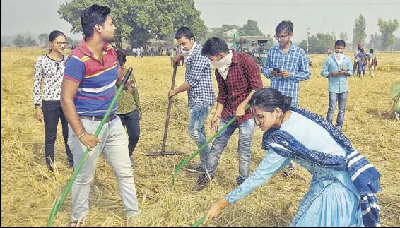  ?? HT PHOTO ?? DOING THE SPADEWORK: NGO volunteers accompanie­d by then SDM and now additional deputy commission­er, Sakshi Sawhney, clearing paddy stubble at a village in Bathinda last year.