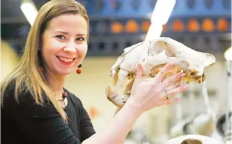  ??  ?? ENGLAND: In this photo taken on Friday, Dec 2, 2016, university lecturer Joanna Bagniewska looks at a tiger skull at the Zoology department of the University of Reading. — AP
Moving for the EU