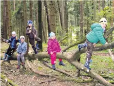  ??  ?? Im Wald bieten sich zahlreiche Klettermög­lichkeiten für die Kinder. Die Natur zu erkunden ist wichtiger Bestandtei­l des Konzepts.