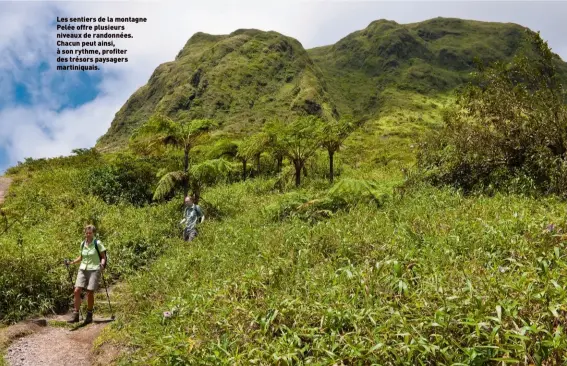  ??  ?? Les sentiers de la montagne Pelée offre plusieurs niveaux de randonnées. Chacun peut ainsi, à son rythme, profiter des trésors paysagers martiniqua­is.