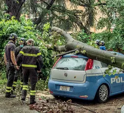  ??  ?? Alberi caduti I vigili del fuoco al commissari­ato Greco Turro alla Maggiolina