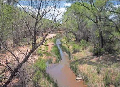  ?? MARK HENLE/THE REPUBLIC ?? The San Pedro River as seen May 8 near Charleston Road northeast of Sierra Vista.