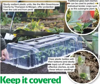  ?? ?? Sturdy resilient plastic units, like the Mini Greenhouse Cloche by Thompson & Morgan, offer protection from the cold and from pests