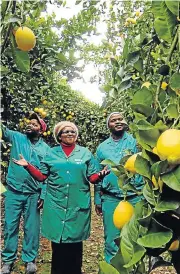  ?? /The Herald ?? Bounty: SA’s economic woes have made citrus exports more competitiv­e on the global market.