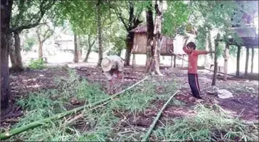  ?? MOTHER NATURE ?? Community members cut bamboo to build makeshift rafts below their homes in preparatio­n for expected flooding caused by the closing of the Lower Sesan II dam’s gates.