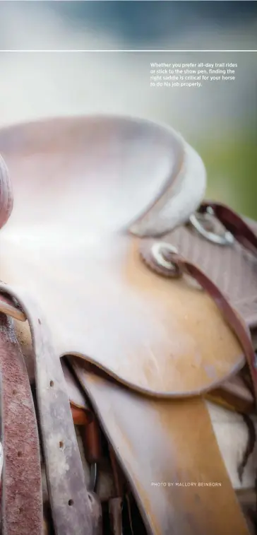  ?? PHOTO BY MALLORY BEINBORN ?? Whether you prefer all-day trail rides or stick to the show pen, finding the right saddle is critical for your horse to do his job properly.