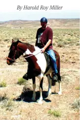  ??  ?? SAFETY FIRST: The author, aboard Hoss, ready for a ride in the desert.