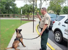  ?? Ross Rogers / Rome News-Tribune ?? Deputy Rhett heels for Wilson, a graduation gift given to him by Deputy Jimmy Allred. “Everything he does, he does for Wilson,” Allred said.