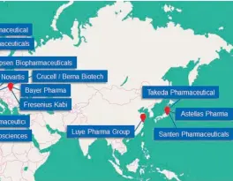  ?? Credit: ACS Nano 2021, 15, 11, 16982-17015_Key players operating in the global LNP drug delivery market ??