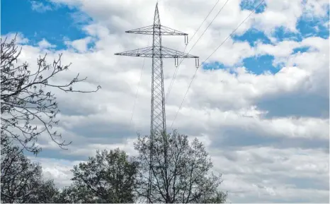  ?? FOTO: FG ?? Hochspannu­ngsmast in Neunheim. Die dortige Bürgerinit­iative setzt sich dafür ein, die Leitungen unter die Erde zu verlegen.