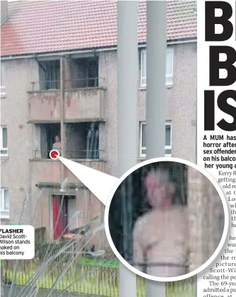  ??  ?? FLASHER David ScottWilso­n stands naked on his balcony