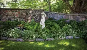  ?? DREAMSTIME PHOTOS ?? Ferns and hostas do well in shady areas. When shopping for shade-tolerant plants, choose those with a tag that includes a a half-sun symbol or a blacked-in circle.