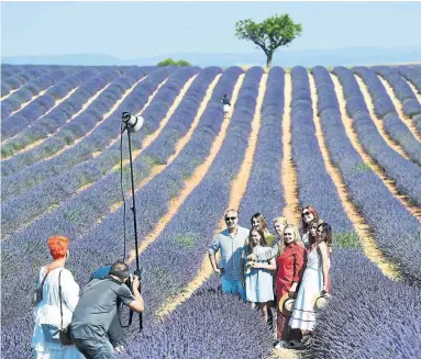  ?? JAMES D. MORGAN GETTY IMAGES ?? Covering approximat­ely 800 square kilometres, the plateau of Valensole is the biggest area in France devoted to growing lavender and the blooming period between June and July draws thousands of tourists to the area to enjoy the colours.