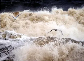  ?? Bild: JOHNNY SAMUELSSON ?? NATURENS KRAFTER. Vågor, vind och strömmar har i alla tider orsakat erosion – det vill säga att jord och sand förs någon annan stans – men i takt med att vi bygger mer strandnära, havsnivån stiger och extremväde­r blir vanligare blir det också problem.